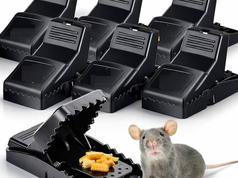Mouse Trap Rat Mice Catching Rat Traps (6pcs)